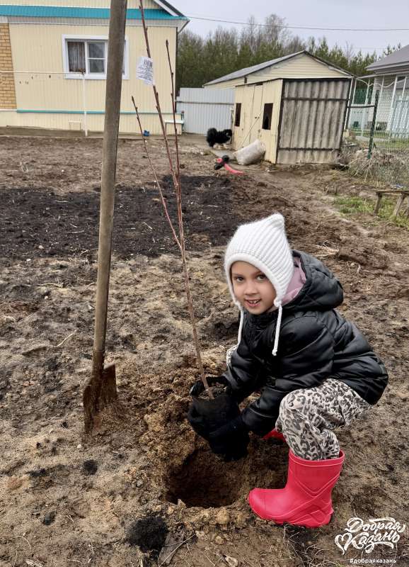 Посадила  дерево