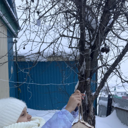 Повесила кормушку для птиц