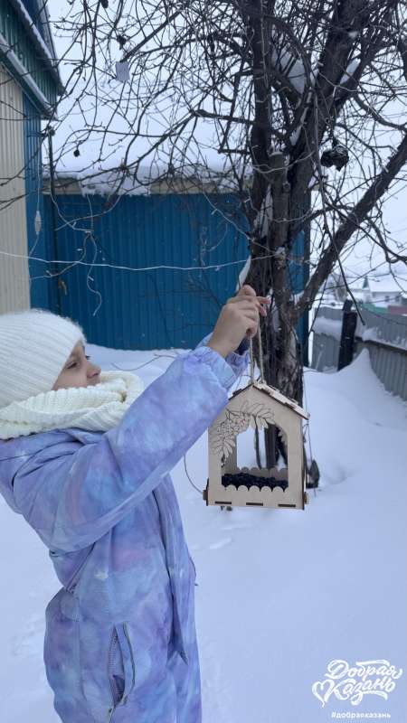 Повесила кормушку для птиц