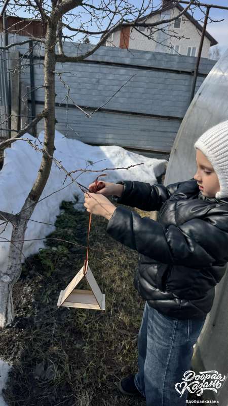 Повесила кормушку для птиц