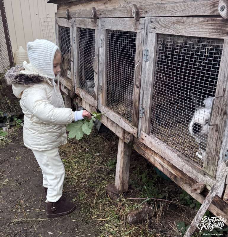 Покормила зайчиков