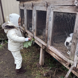 Покормила зайчиков