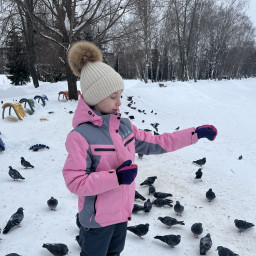 Кормлю птиц семечками