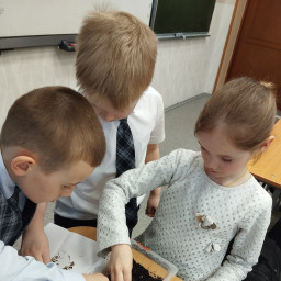 научил друзей сажать рассаду цветов