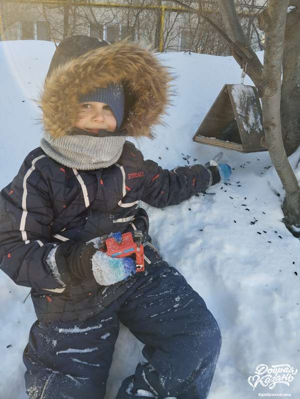 Заботимся о птицах зимой