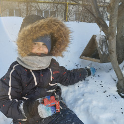 Заботимся о птицах зимой