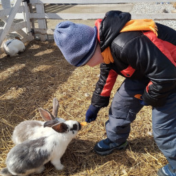 заботимся о животных