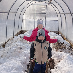 Закидали снег в теплицу.