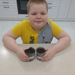 Посадил лук.