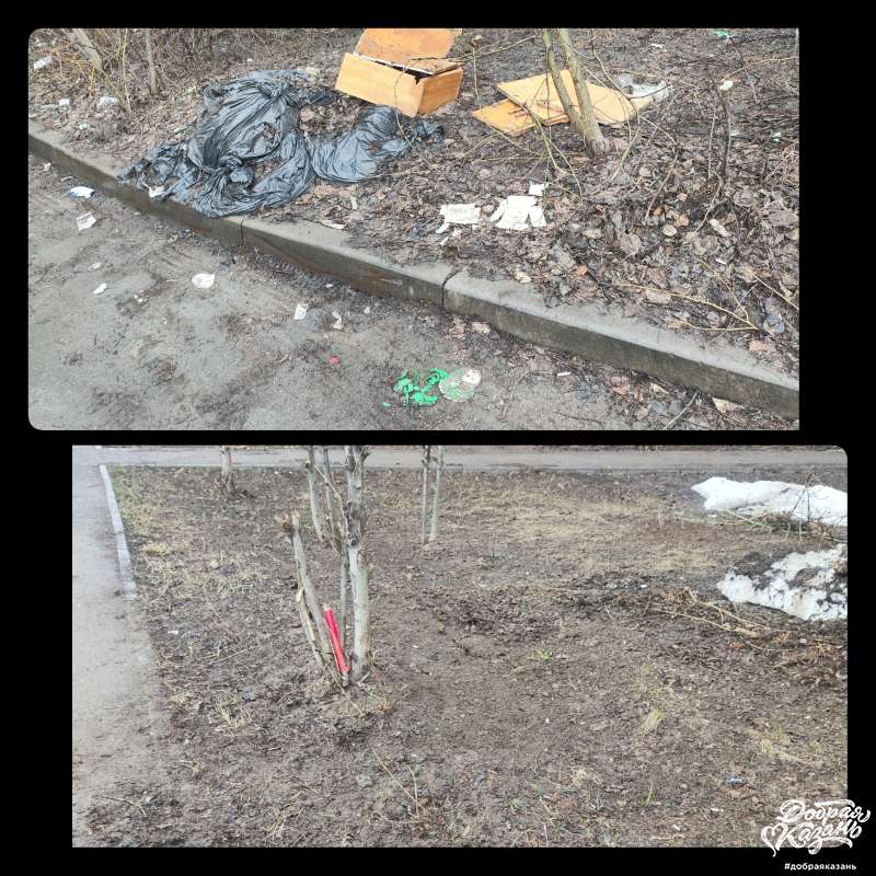 Территория двора