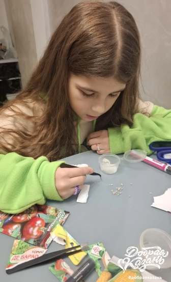 Сеяла помидоры