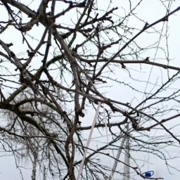 Кормушка для птиц