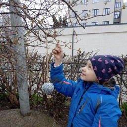 Кормим птичек