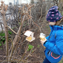 Воробушки не голодают