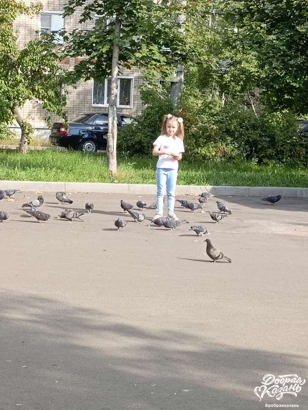 Кормим голубей на улице. Кормим голубей на улице.