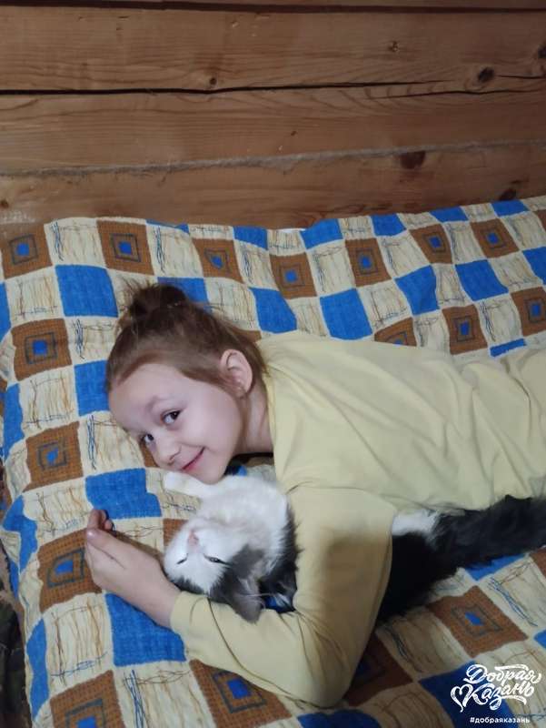 Люблю животных