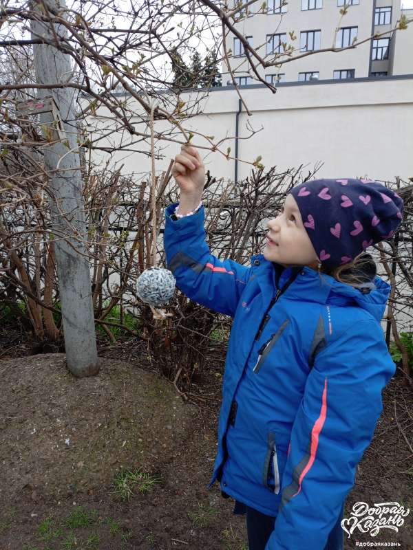 Кормим птичек