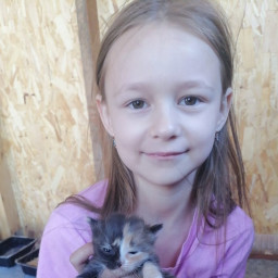 Спасение котят