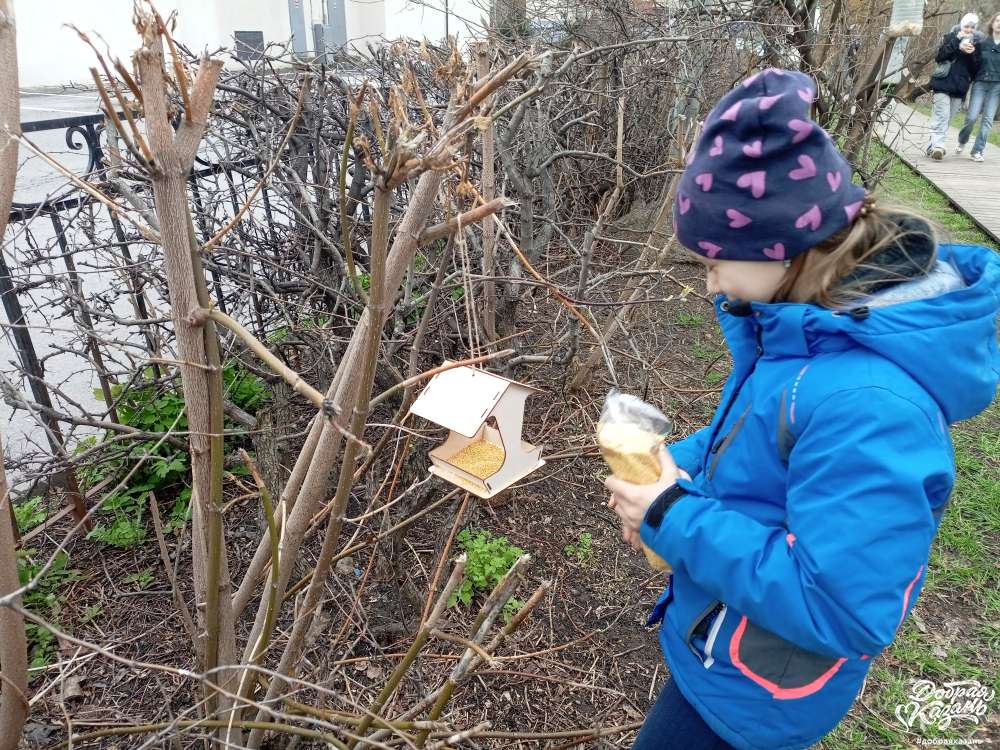 Воробушки не голодают