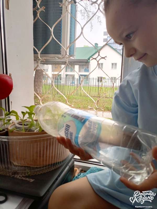 Растет рассада