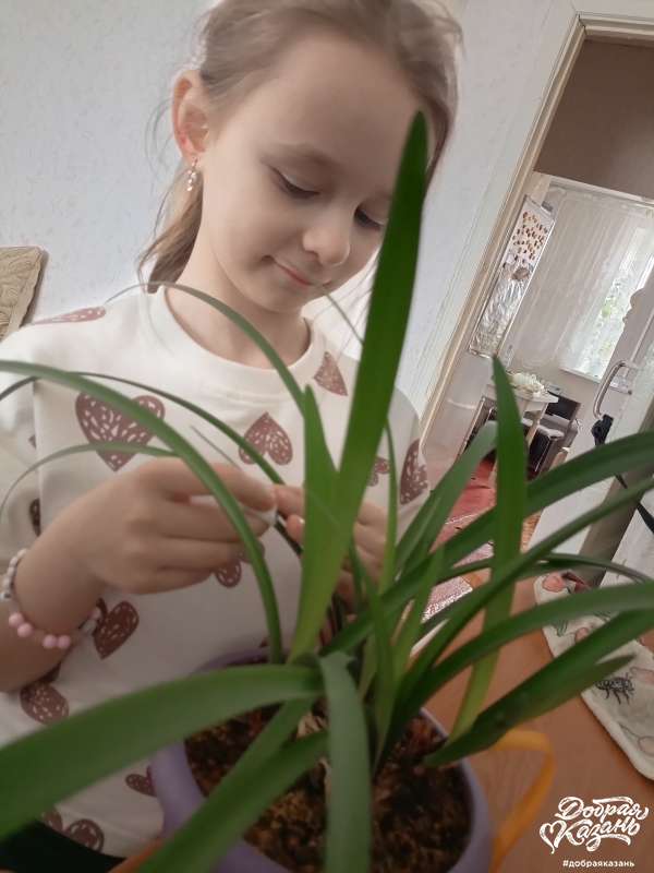 Ухаживаю за цветами