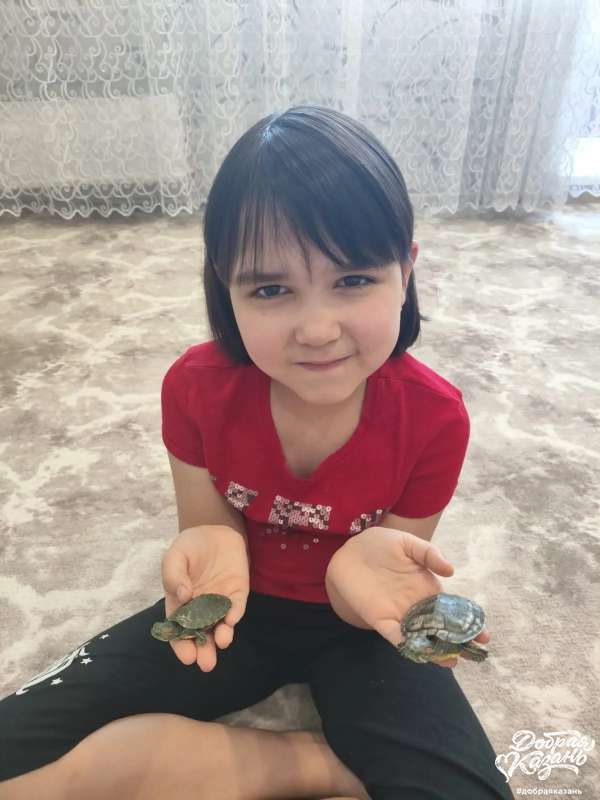 Мои питомцы