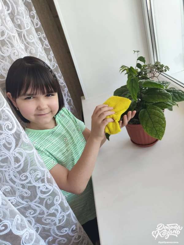 Мои любимые цветочки