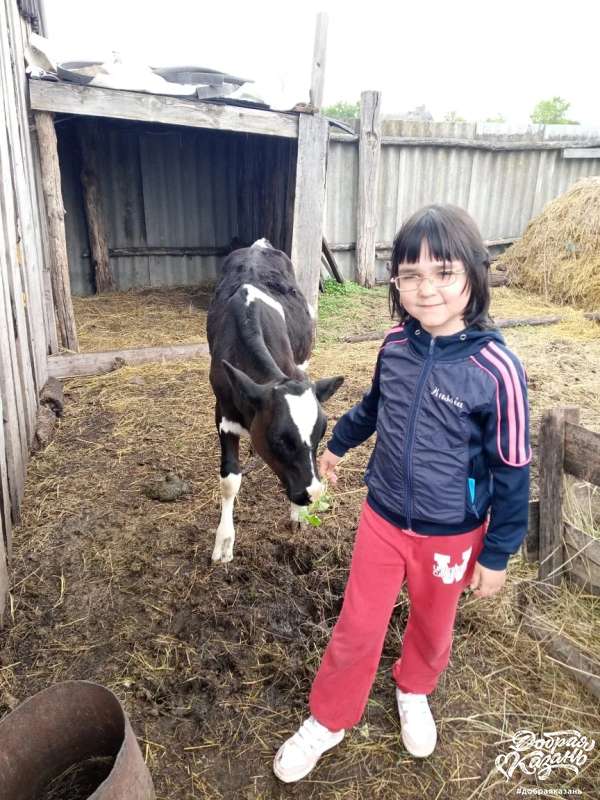 Помогаю дедушке