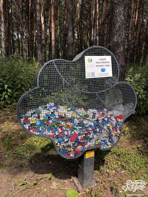 На пластике деревья не растут !