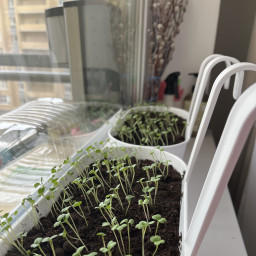 Юные агрономы!