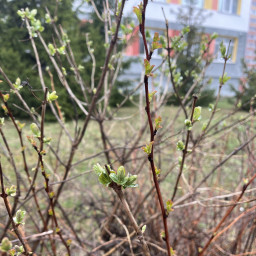 Природа оживает!!!