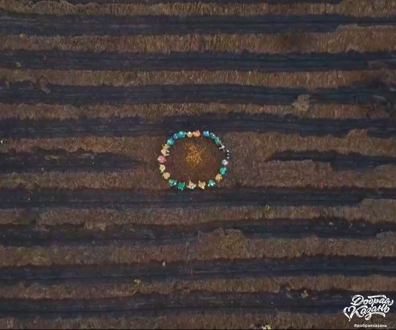 Посадка деревьев