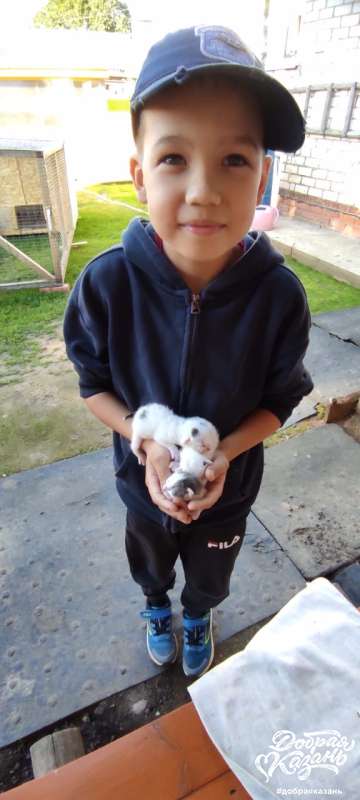 Доброе сердце: забочусь о тех, кто меньше меня.