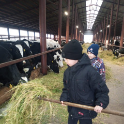 Забочусь о тех, кто дает нам молоко.