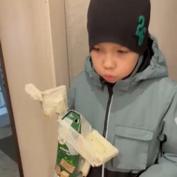 Вторая жизнь вещей — на пользу птицам.