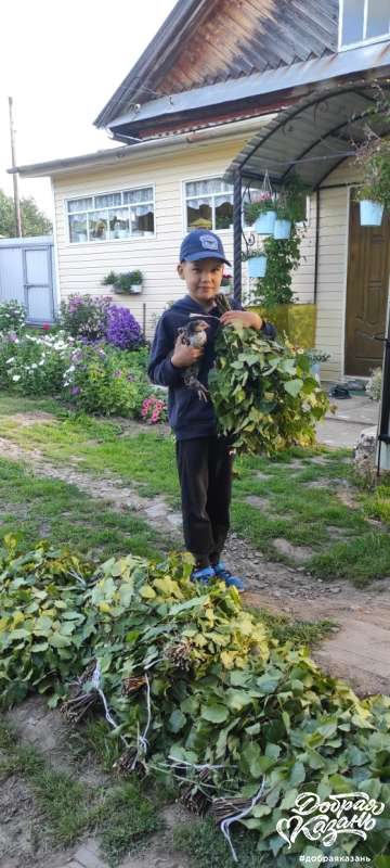 Лето с пользой: радость для близких.