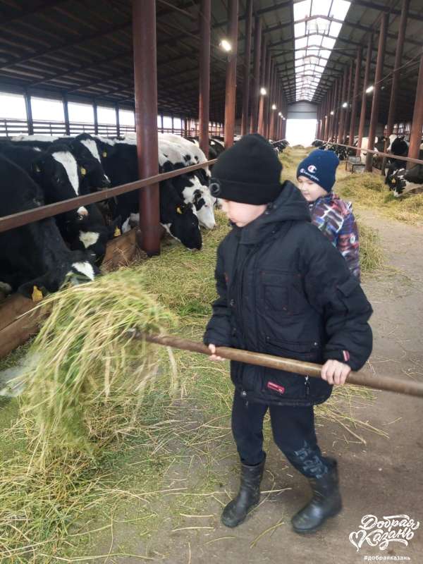 Забочусь о тех, кто дает нам молоко.