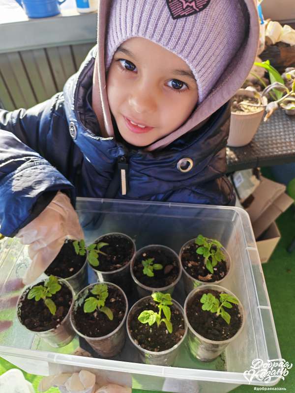 Весенние добрые дела