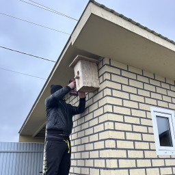 Забота о птицах