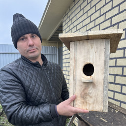 Забота о птицах