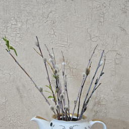 Новая жизнь посуды